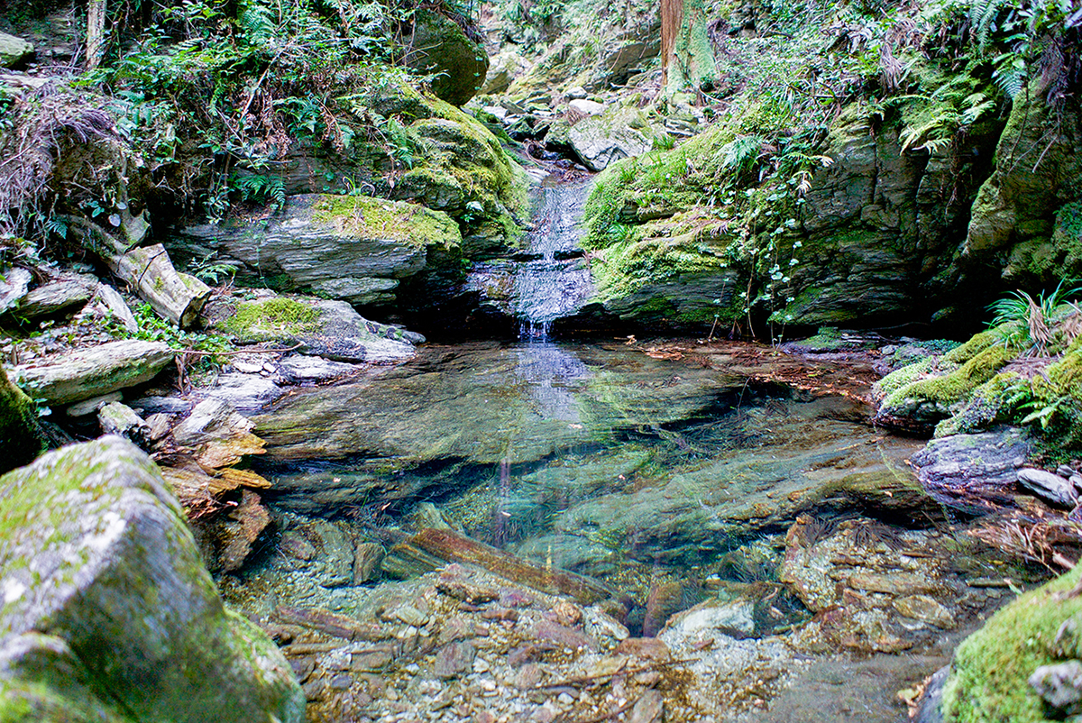  神山の谷に流れる沢水