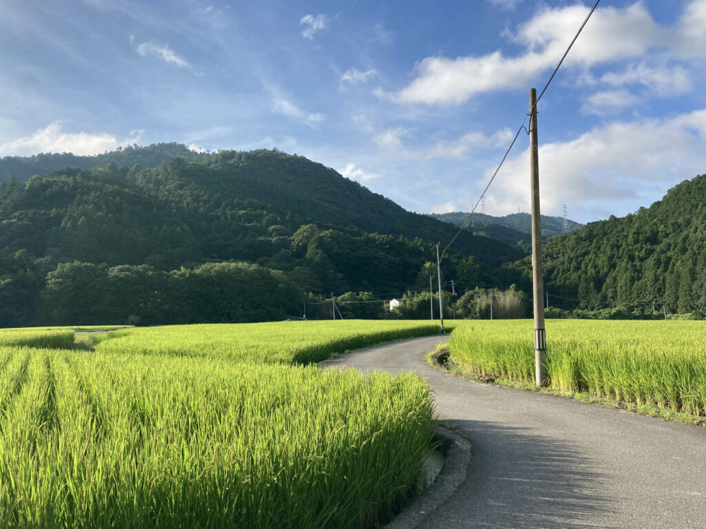 神山町の山と田んぼのある風景