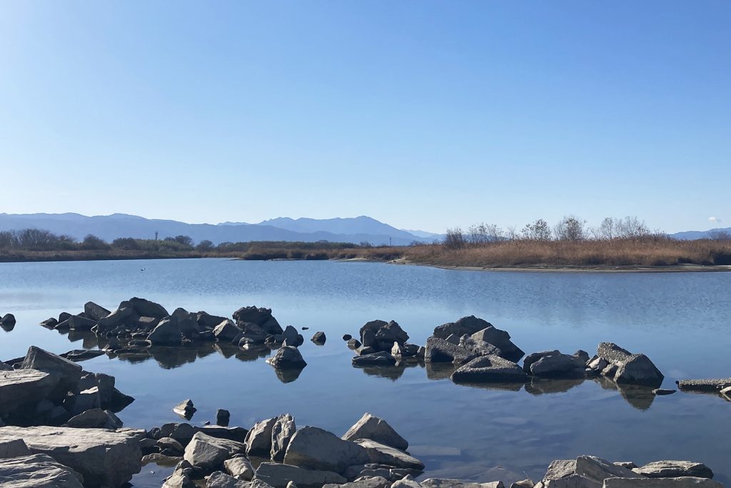 １月の吉野川。江戸時代に建てられた第十堰から、遠くには高越山が見える。