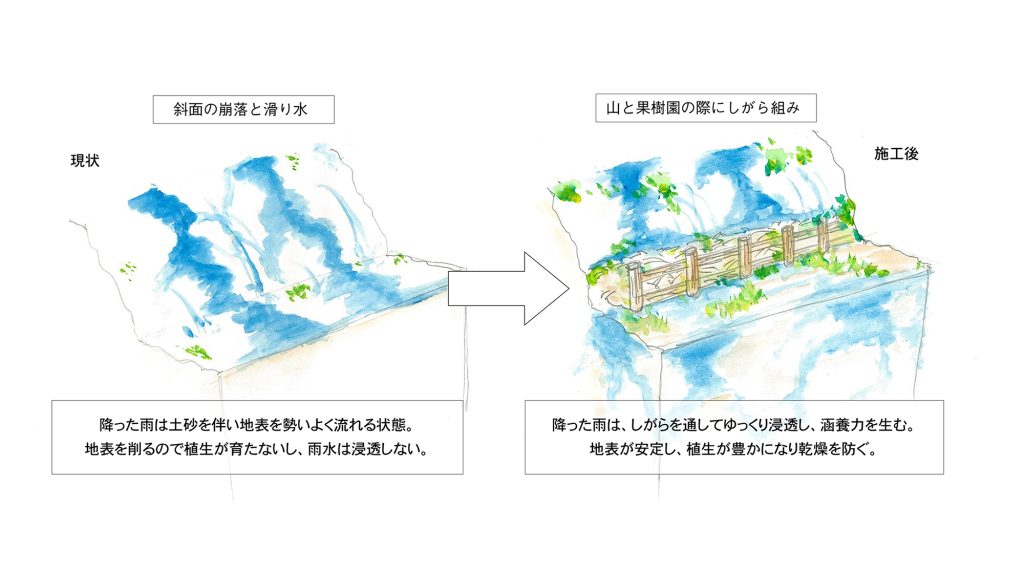 しがらについて