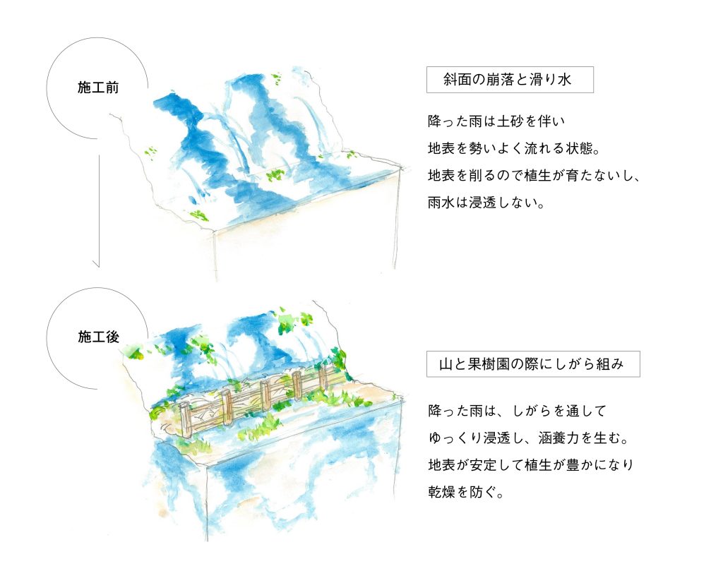 しがら組とは