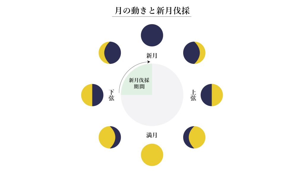 月の動きと新月伐採