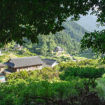 ［１０月開催募集］水源涵養力を育む環境改善ワークショップ Vol.５