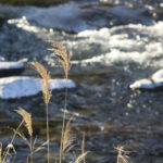 【新年ご挨拶】企業秘密(?)のものづくり改革について