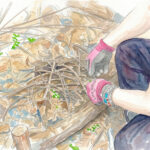 【 5月参加者募集】水源涵養力を育む環境改善ワークショップ 〜しがら体験編〜