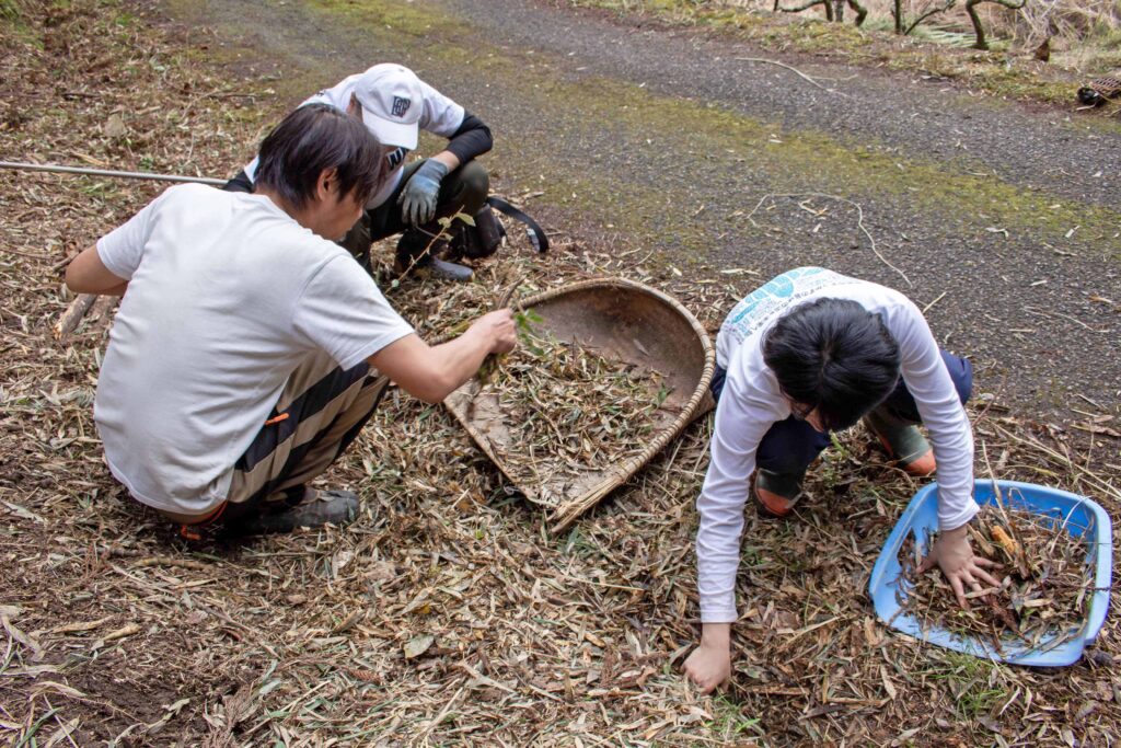 しずく環境改善ワークショップ・竹林整備