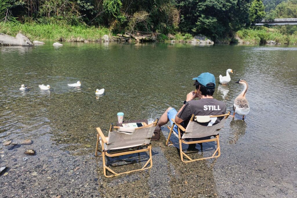 moja houseからほど近い河原でアヒルやガチョウと水浴びする北山さん