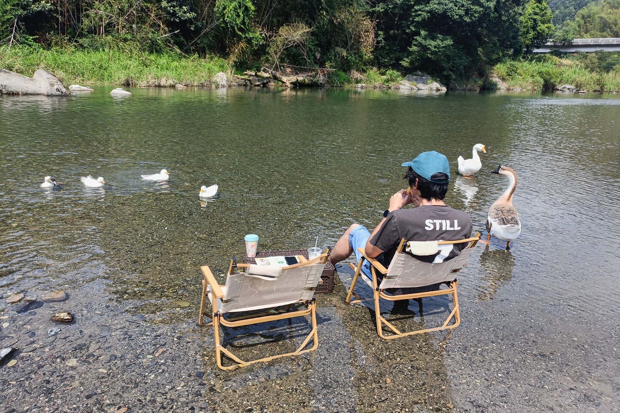 moja houseからほど近い河原でアヒルやガチョウと水浴びする北山さん