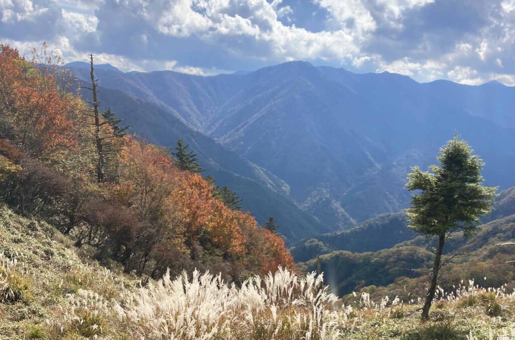 剣山の紅葉