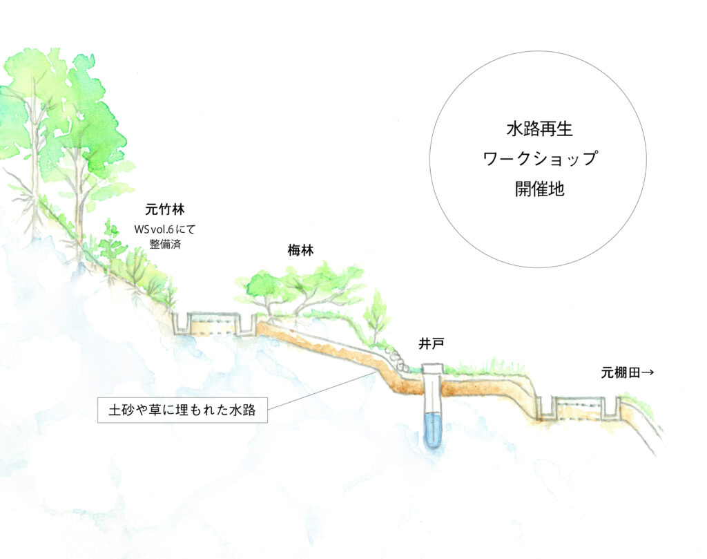 水路再生ワークショップ現場の様子